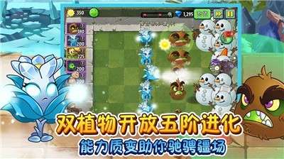 植物大战僵尸正版图4
