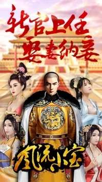 风流小宝图1