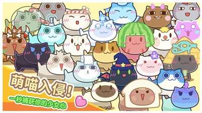 猫旅馆物语安卓版图2
