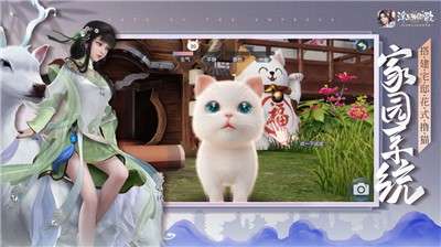 浮生为卿歌相思怨图2