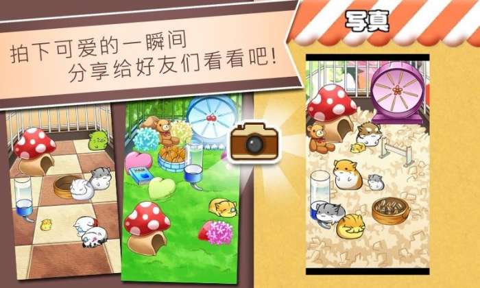 仓鼠的日常图3