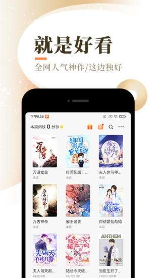 晚风小说图1