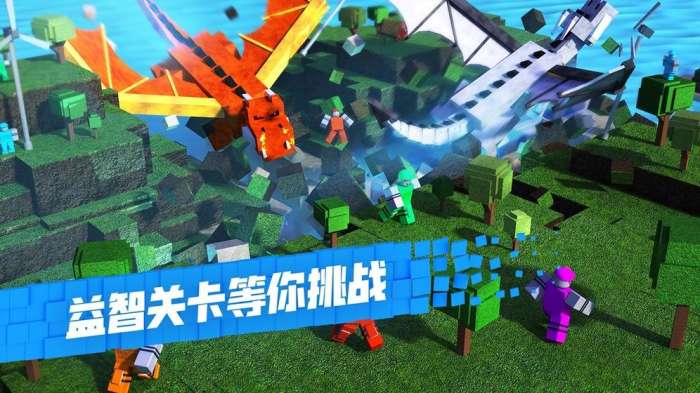 罗布乐思国际服图2
