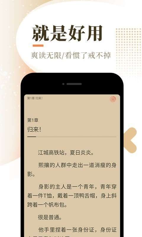 正版泰山小说图2