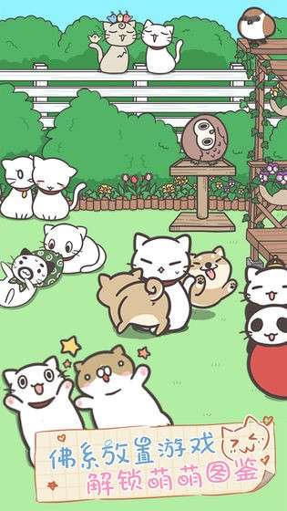 猫咪饲养日常中文版图2