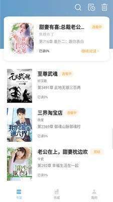 免费小说阅读王图2