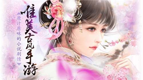 熹妃传安卓版图4