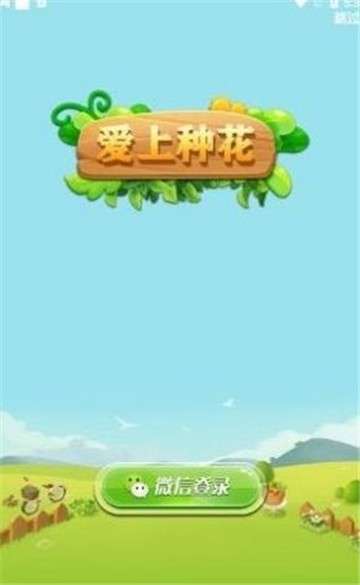 种花来养你图4