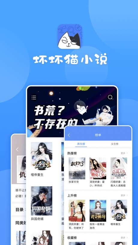 坏坏猫小说图1