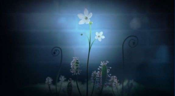 白色情人节2谎言之花图1