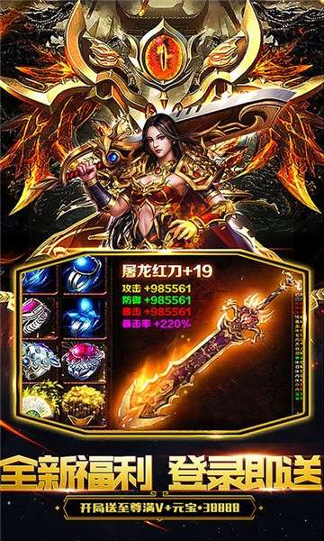 忘忧传奇星王合击图2