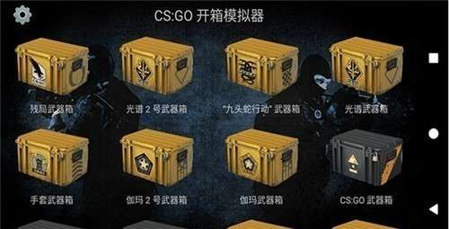 csgo开箱模拟器中文手机版图2