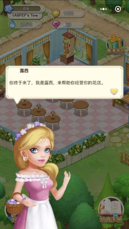 开心花花乐鲜花小镇图3