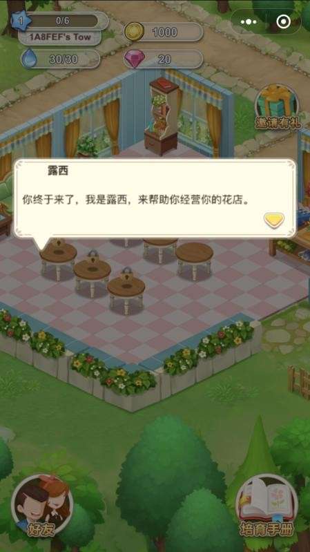 开心花花乐鲜花小镇图4