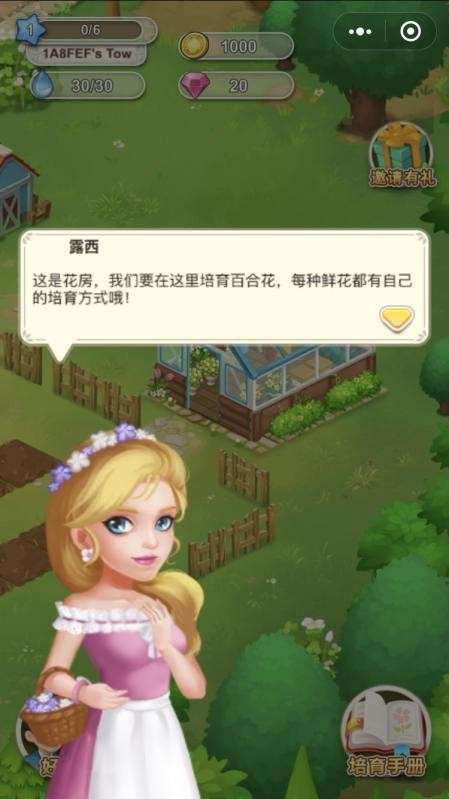 开心花花乐鲜花小镇图2