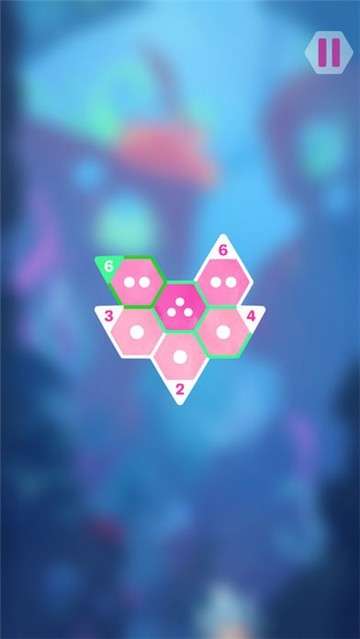 六边形数独图4