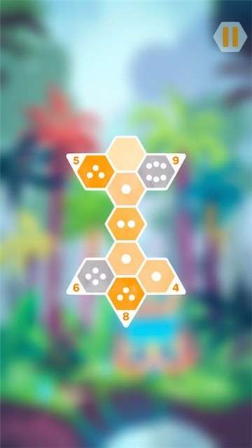 六边形数独图6