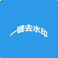 视频去水印神器破解版