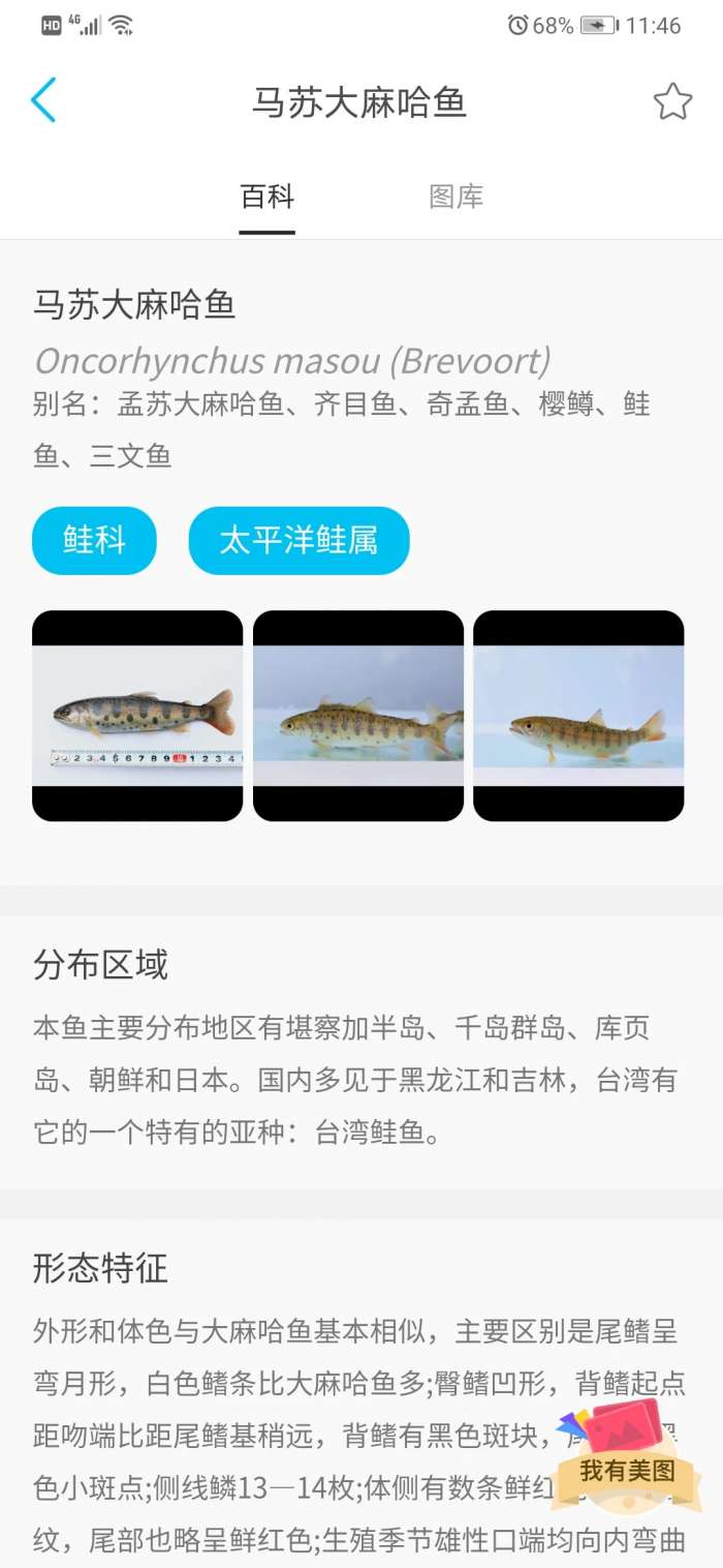 看鱼拍照识别最新版图2