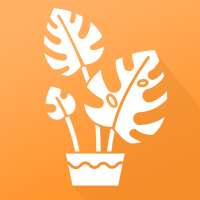 植物品鉴最新版