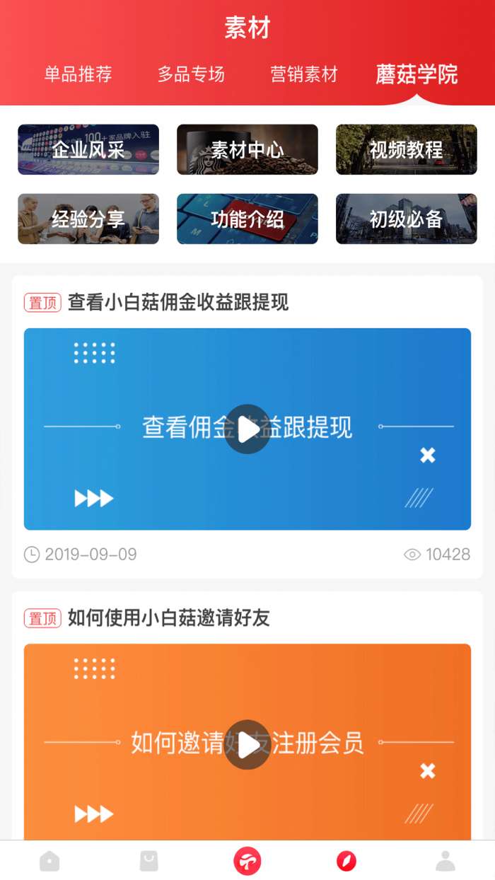 小白菇官方版图3