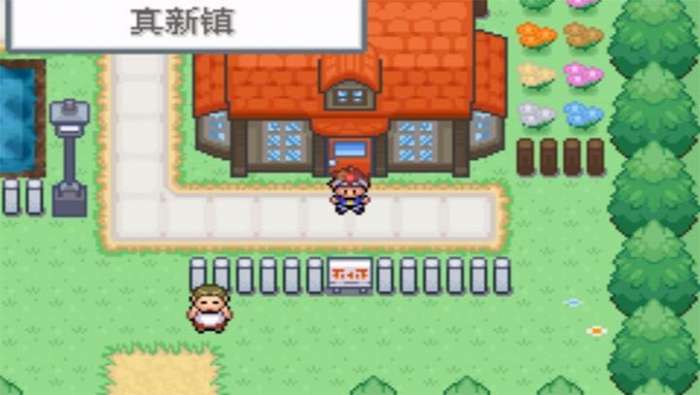 口袋妖怪决心汉化版图2