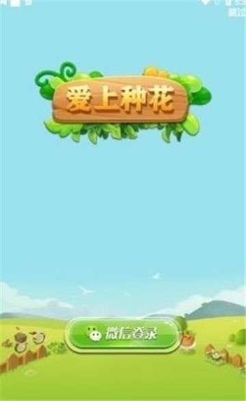 种花来养你app图4