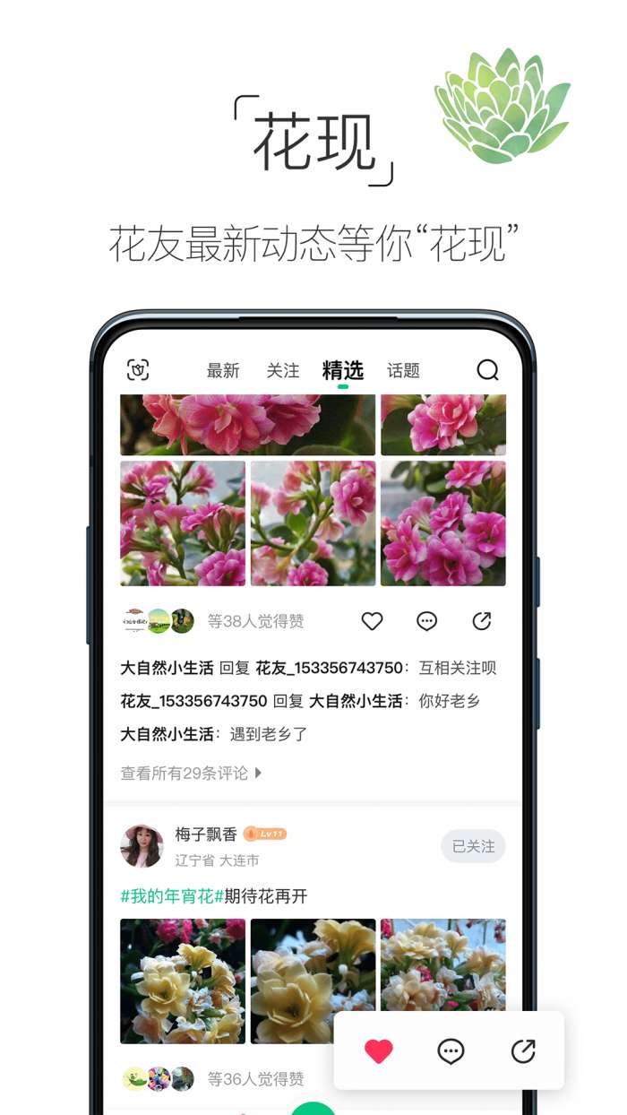养花大全图5