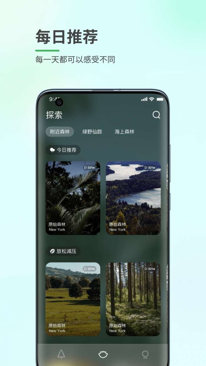 森林白噪音安卓版图2