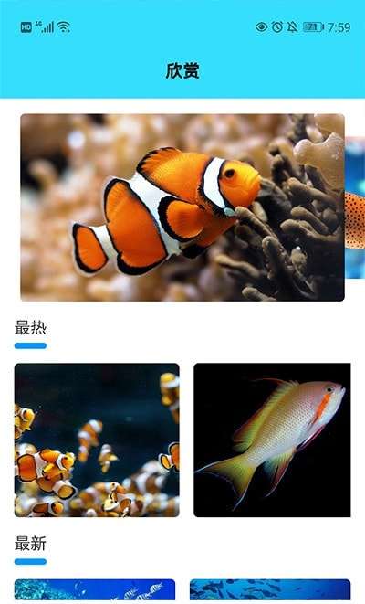 我爱养鱼图1