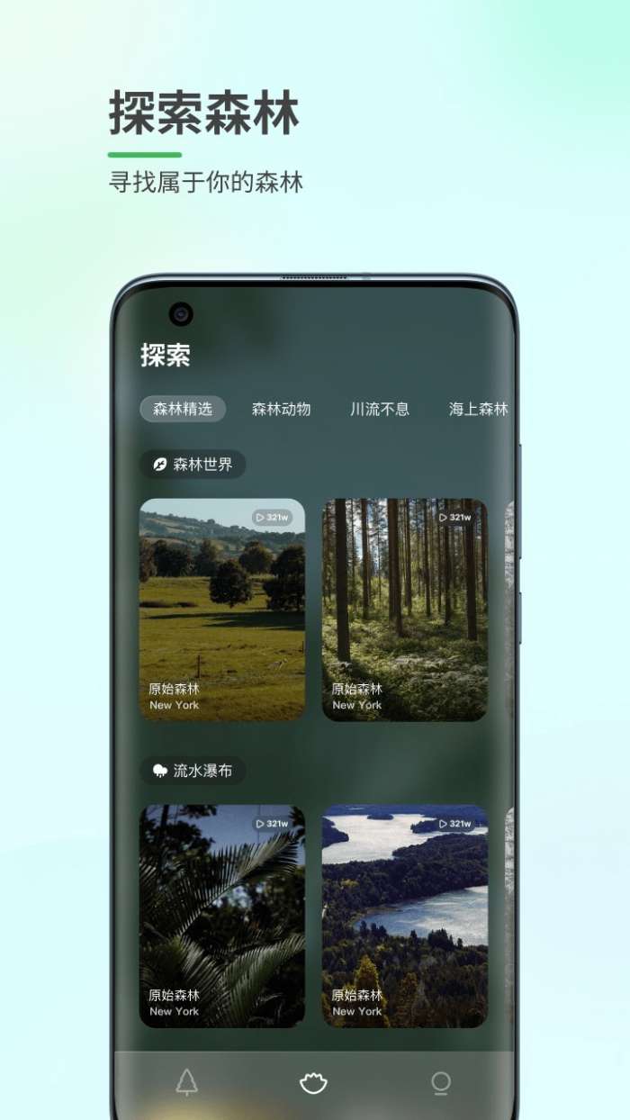 森林白噪音安卓版图1
