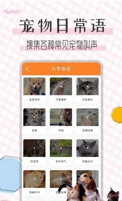 猫语翻译宝软件免费图2