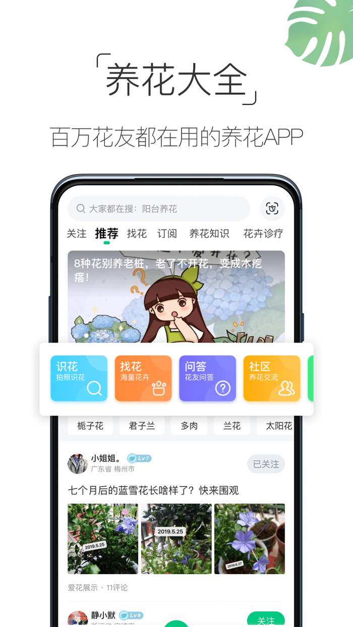 养花大全图3