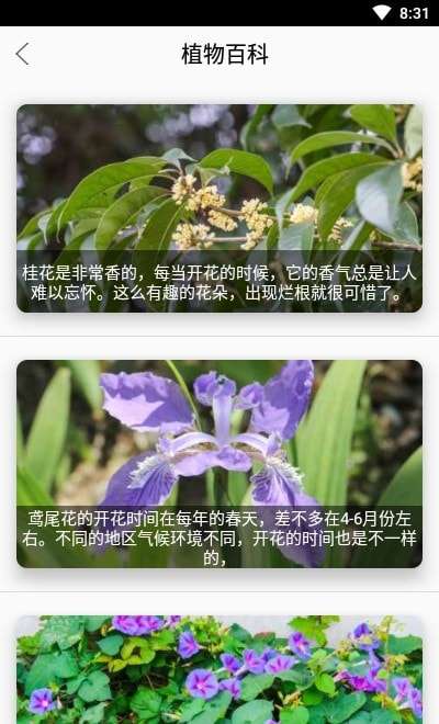 丛林宝典识别安卓版图4