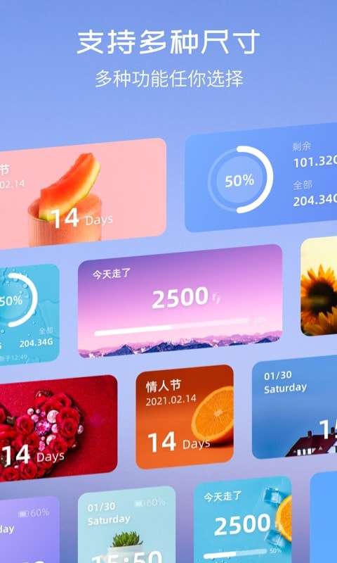 Top Widgets安卓版图3