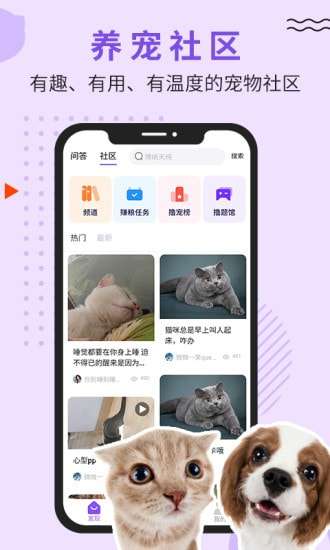 LUBY撸彼手机版图2
