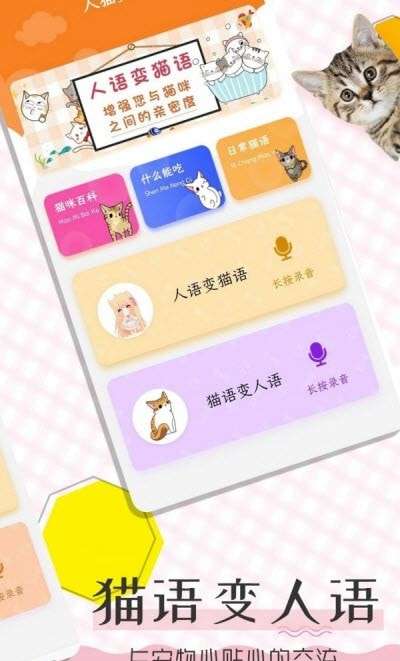 猫语翻译宝软件免费图4