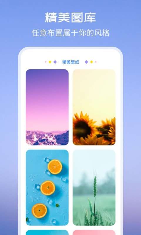 Top Widgets安卓版图4