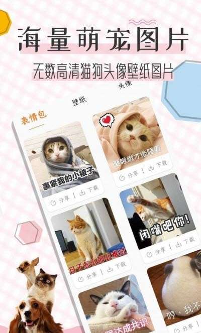 猫语翻译宝软件免费图1