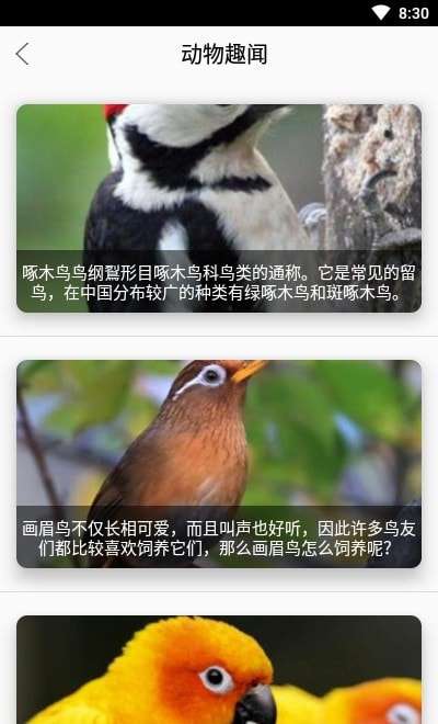 丛林宝典识别安卓版图3