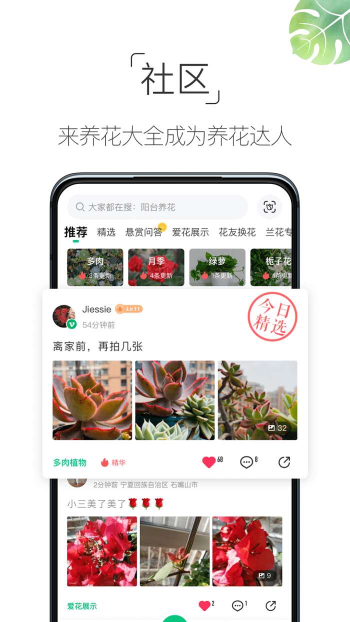 养花大全图4
