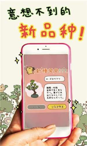 盆栽大师中文版图1