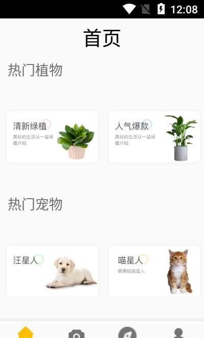 灵通植物最新版图3