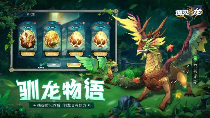 遇见龙安卓版图4