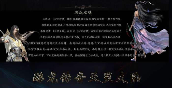 游龙传奇天罡大陆图3