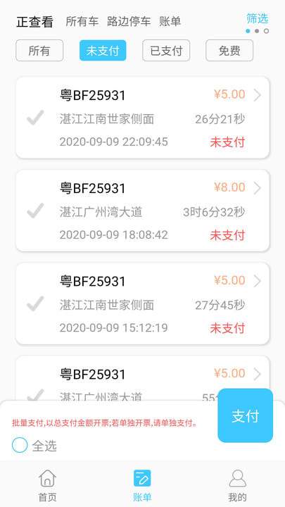 智优停路边停车系统图2