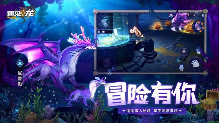 遇见龙安卓版图1