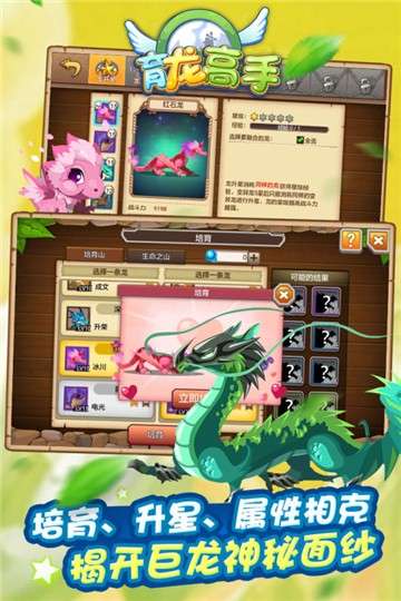 育龙高手游戏图3