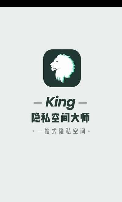 隐私空间大师图1
