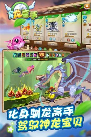 育龙高手游戏图1